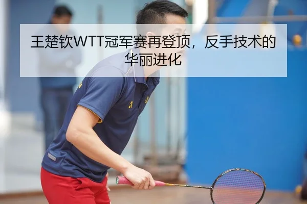 王楚钦WTT冠军赛再登顶，反手技术的华丽进化